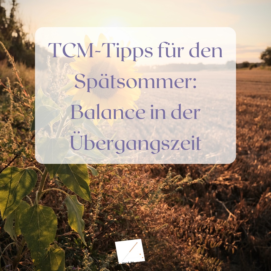 TCM-Tipps für den Spätsommer: Balance in der Übergangszeit 🌿🌞